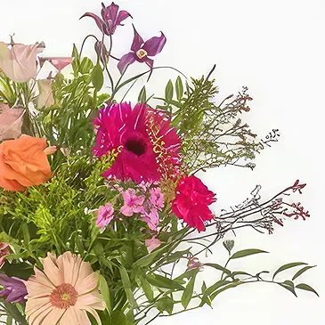 Denmark flowers  -  Congratulations Flower Bouquet/Arrangement