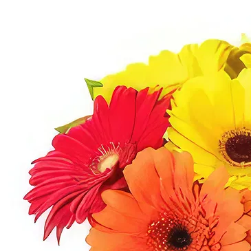 fleuriste fleurs de Bata- Bouquets de joie Bouquet/Arrangement floral