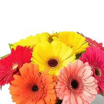 fleuriste fleurs de Bata- Bouquets de joie Bouquet/Arrangement floral