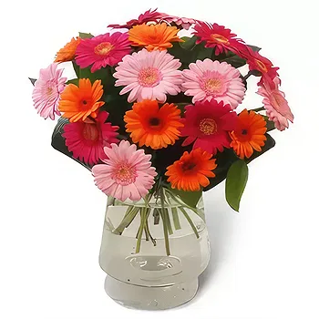 Poland flowers  -  Multi Color Flower Delivery