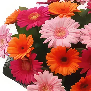 Lublin flowers  -  Multi Color Flower Bouquet/Arrangement
