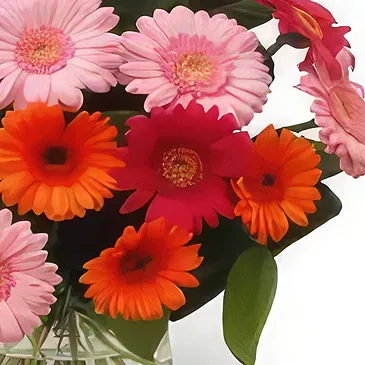 Lublin flowers  -  Multi Color Flower Bouquet/Arrangement
