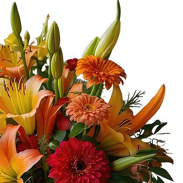 Isfara flowers  -  Cuddly Romance Flower Bouquet/Arrangement