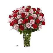 Ad Dilam Online blomsterbutikk - 50 blandede roser Bukett