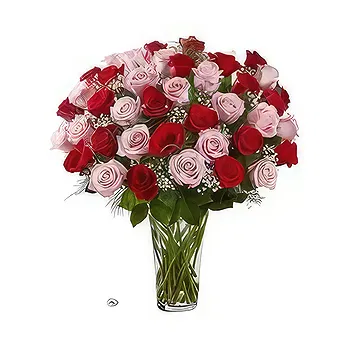 Saudi Arabia flowers  -  50 Mixed Roses Flower Delivery