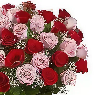 Sitrah blommor- 50 blandade rosor Bukett/blomsterarrangemang