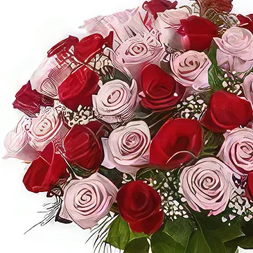 Sitrah blommor- 50 blandade rosor Bukett/blomsterarrangemang