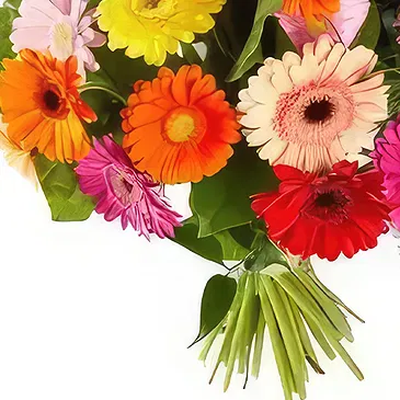 Alarobia květiny- Barevná gerbera Kytice/aranžování květin