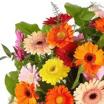 Alarobia květiny- Barevná gerbera Kytice/aranžování květin