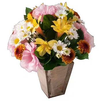 Malalhue flowers  -  My Gift Flower Delivery