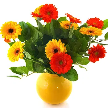 United Kingdom flowers  -  Vase arrangement of colourful gerberas Flower Delivery