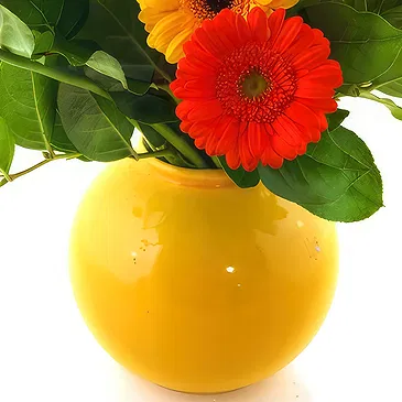 Oman flowers  -  Vase arrangement of colourful gerberas Flower Bouquet/Arrangement