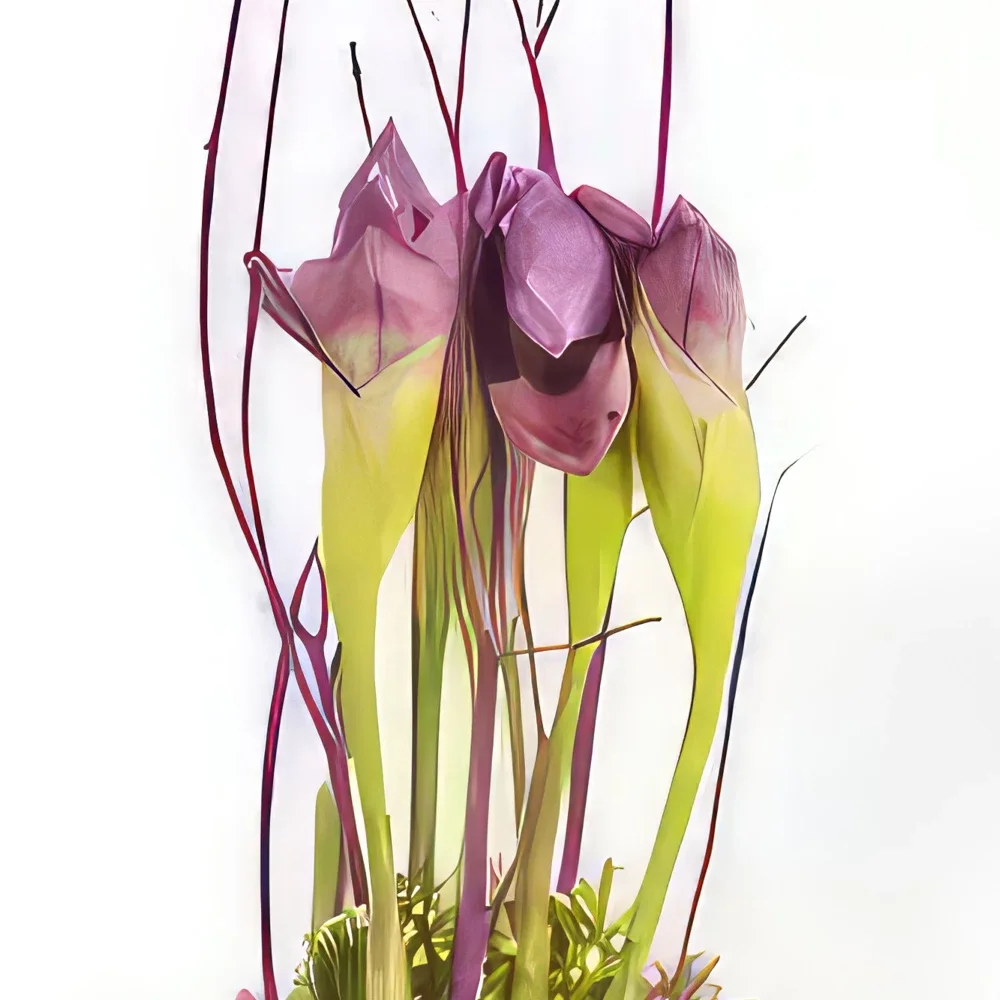 Tarbes цветя- Композиция Belle Dame Букет/договореност цвете