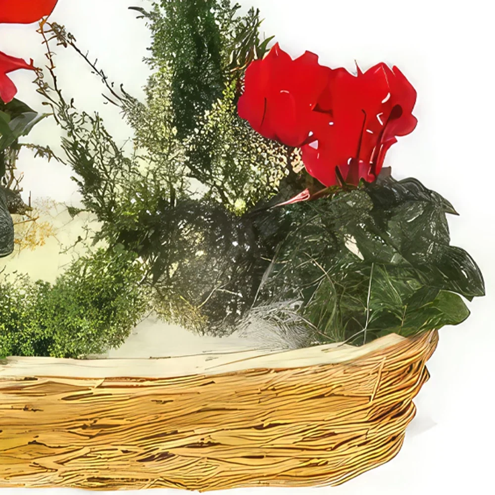 Lijepo cvijeća- Sastav zelenih biljaka i cvijeća Etincelle Cvjetni buket/aranžman