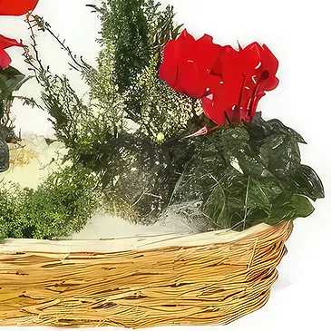 Marseille blomster- Sammensætning af grønne planter & blomster Et Blomst buket/Arrangement