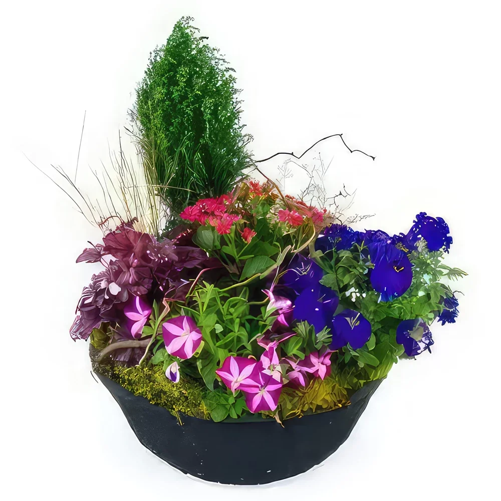 Бордо цветя- Композиция от розови и сини растения Plantae Букет/договореност цвете