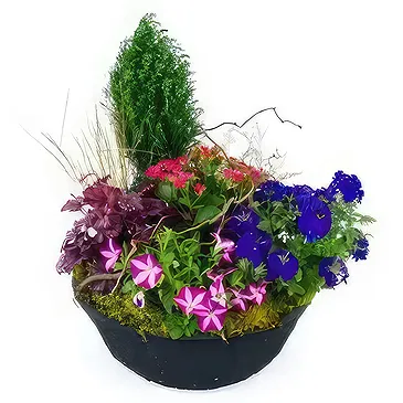 fiorista fiori di Laval- Composizione di piante rosa e blu Plantae Bouquet floreale