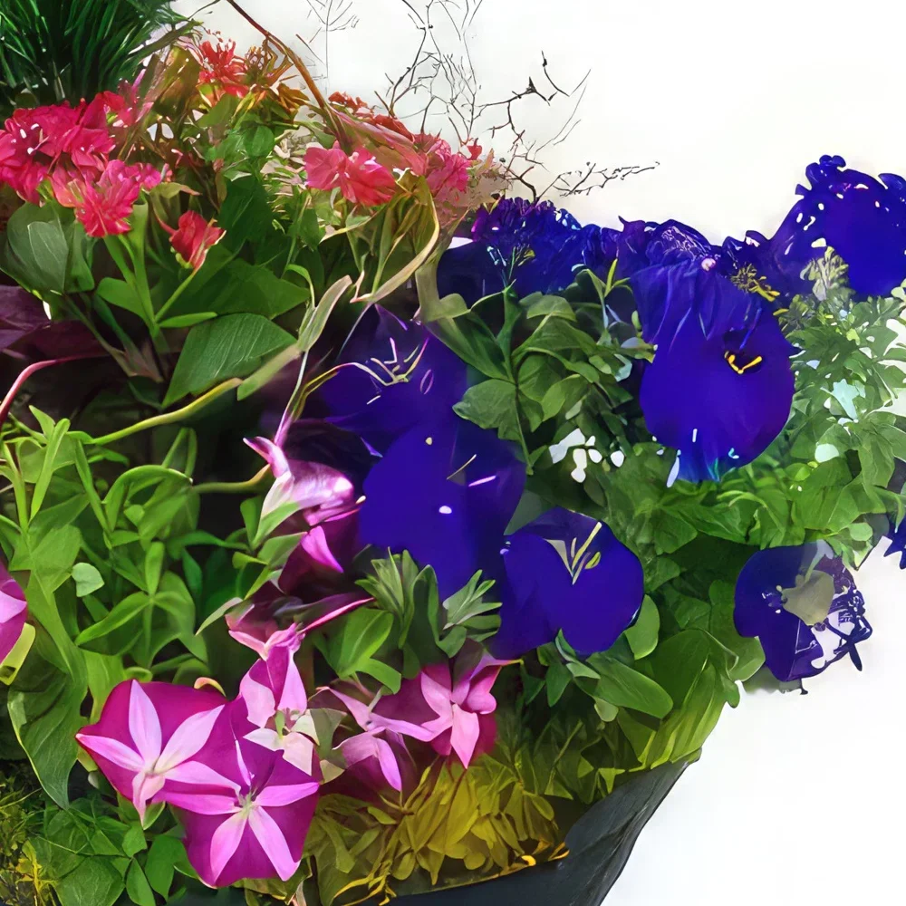 Lille blomster- Sammensetning av rosa og blå planter Plantae Blomsterarrangementer bukett