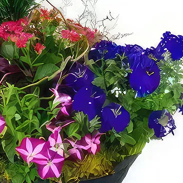 fiorista fiori di Laval- Composizione di piante rosa e blu Plantae Bouquet floreale