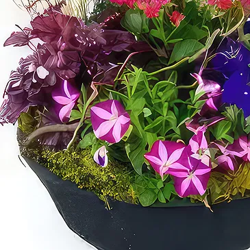 fiorista fiori di Laval- Composizione di piante rosa e blu Plantae Bouquet floreale