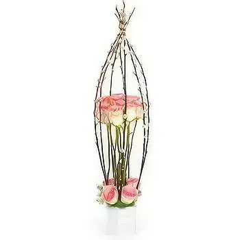 France flowers  -  Composition of pink roses Cage d'Amour Flower Delivery