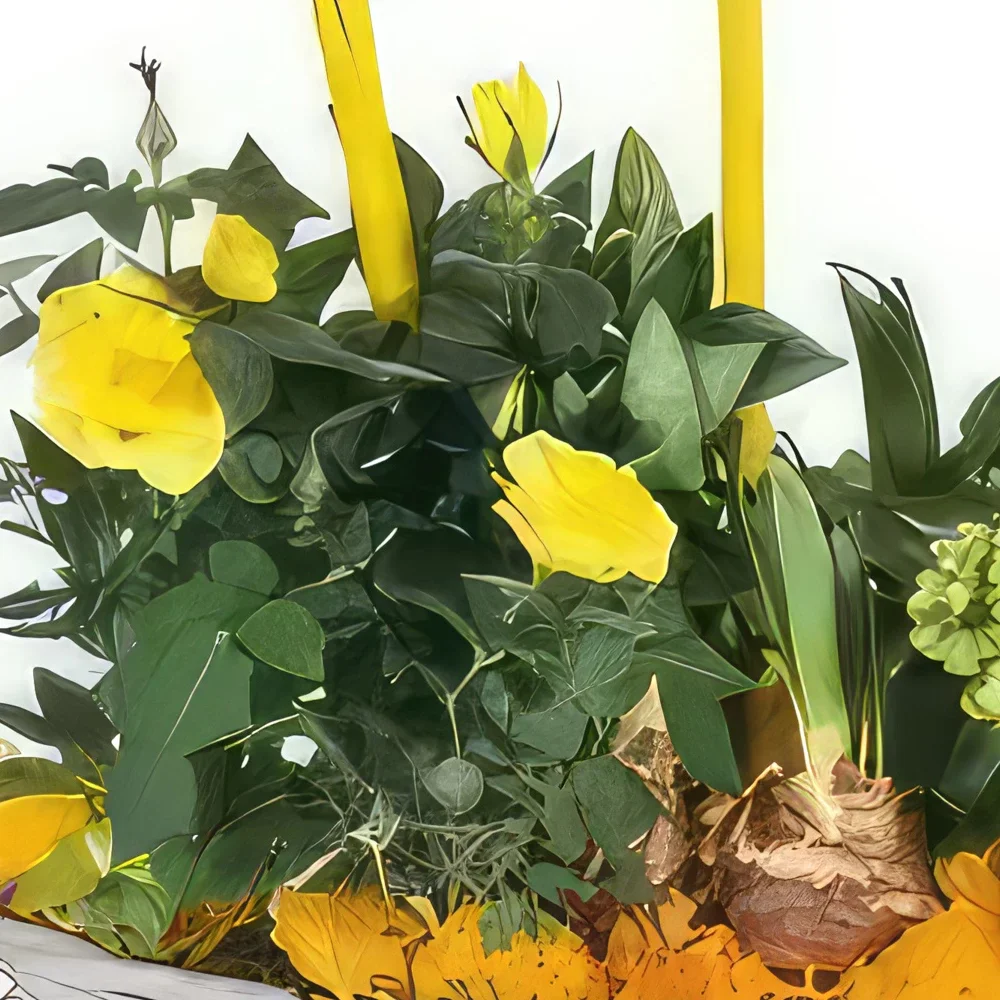Στρασβούργο λουλούδια- Σύνθεση φυτών Etamine το ανθοπωλείο Μπουκέτο/ρύθμιση λουλουδιών