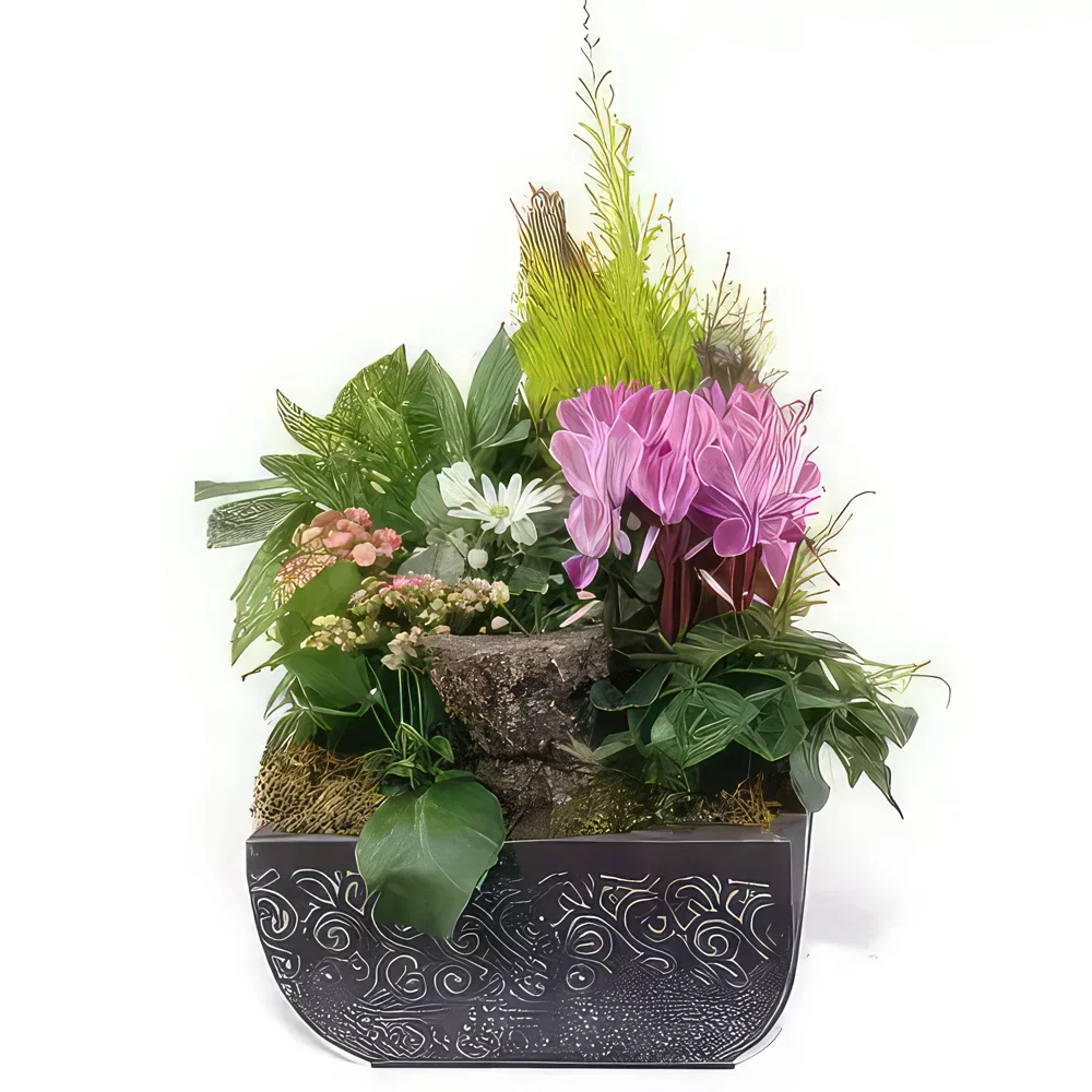 Бордо цветя- Композиция от растения за безкраен траур Букет/договореност цвете