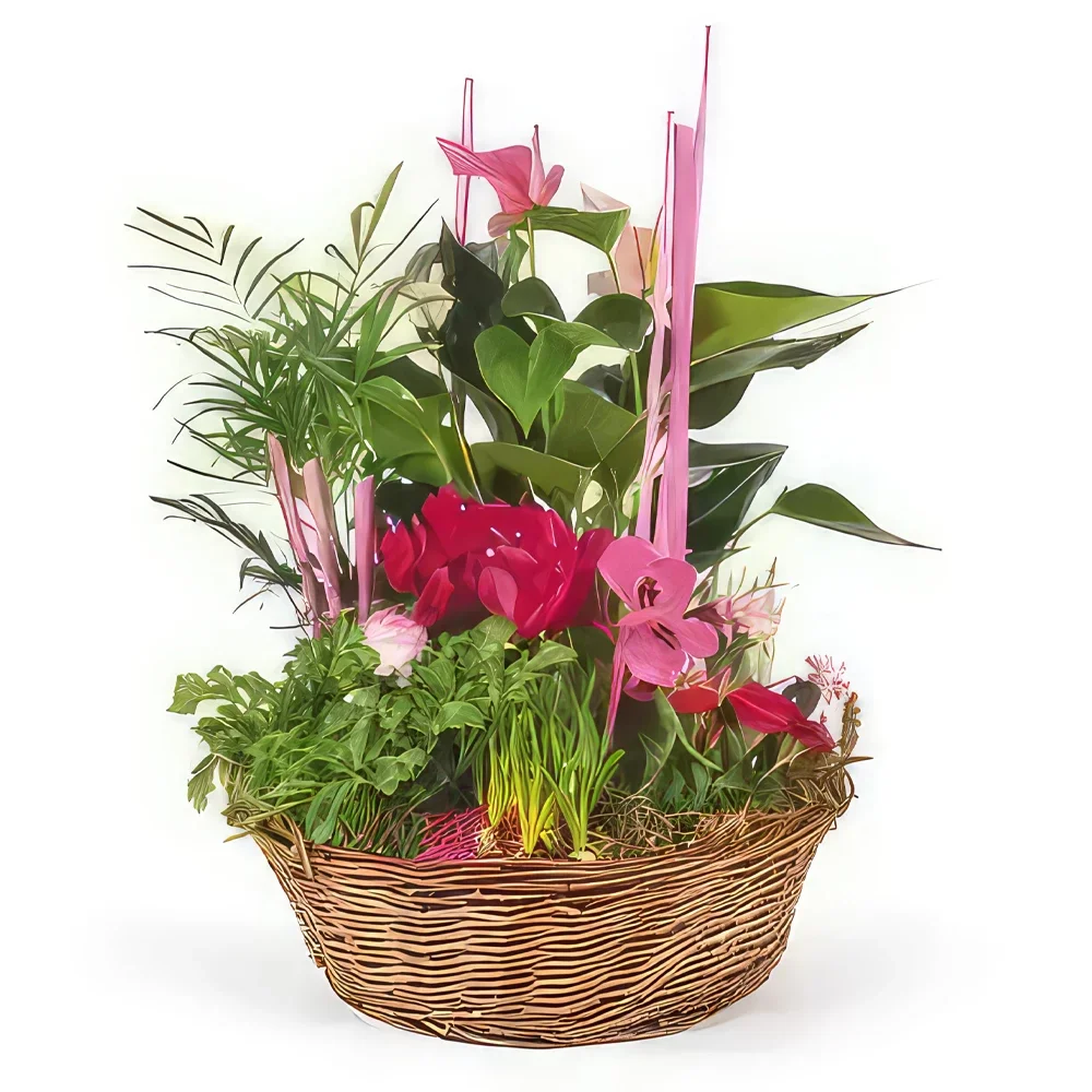 fleuriste fleurs de Lille- Composition de plantes Le Jardin des Druides Bouquet/Arrangement floral