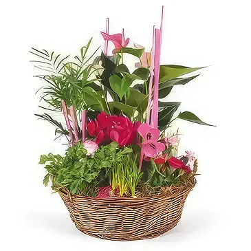 fiorista fiori di Laval- Composizione delle piante Le Jardin des Druid Bouquet floreale