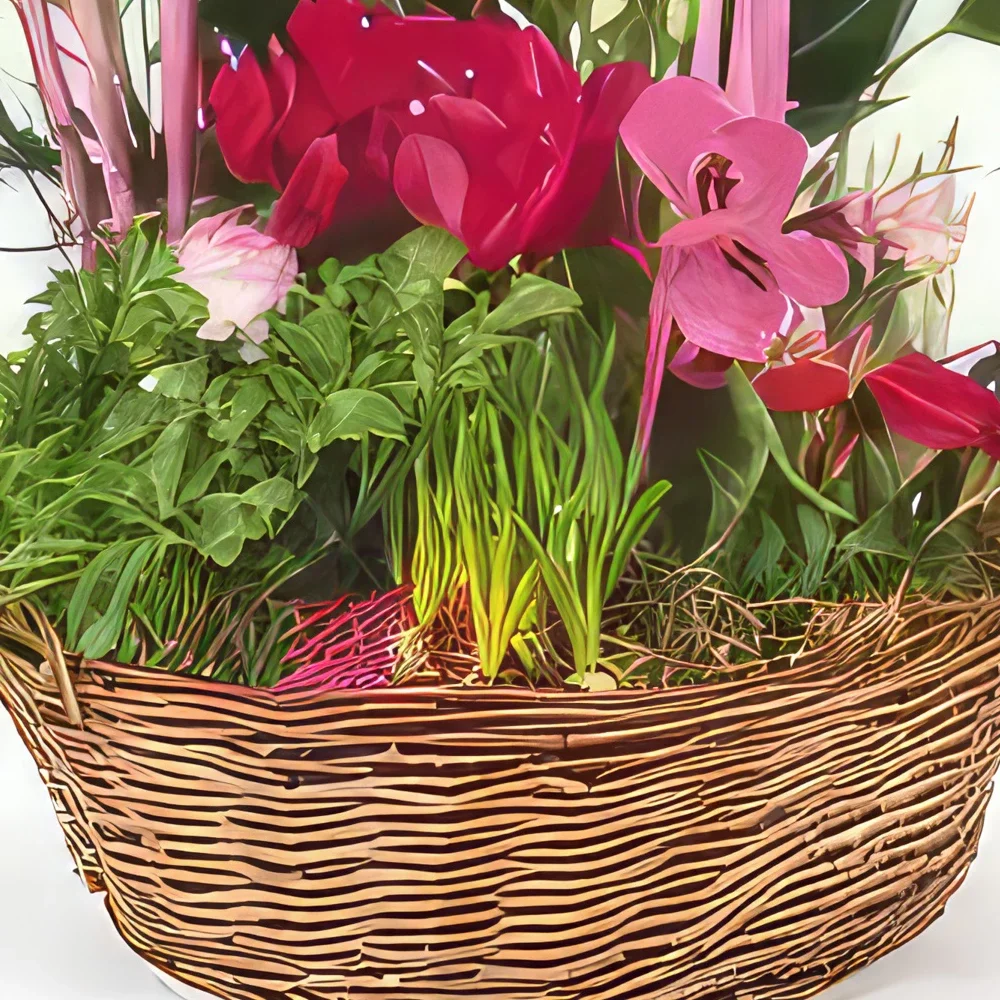fleuriste fleurs de Bordeaux- Composition de plantes Le Jardin des Druides Bouquet/Arrangement floral