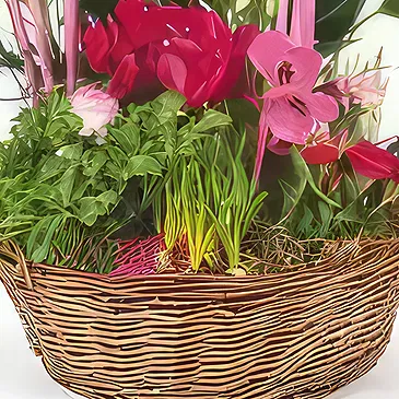 fiorista fiori di Laval- Composizione delle piante Le Jardin des Druid Bouquet floreale