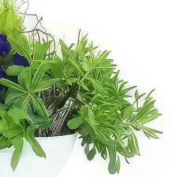Paříž květiny- Složení fialových a modrých rostlin Naturae Kytice/aranžování květin