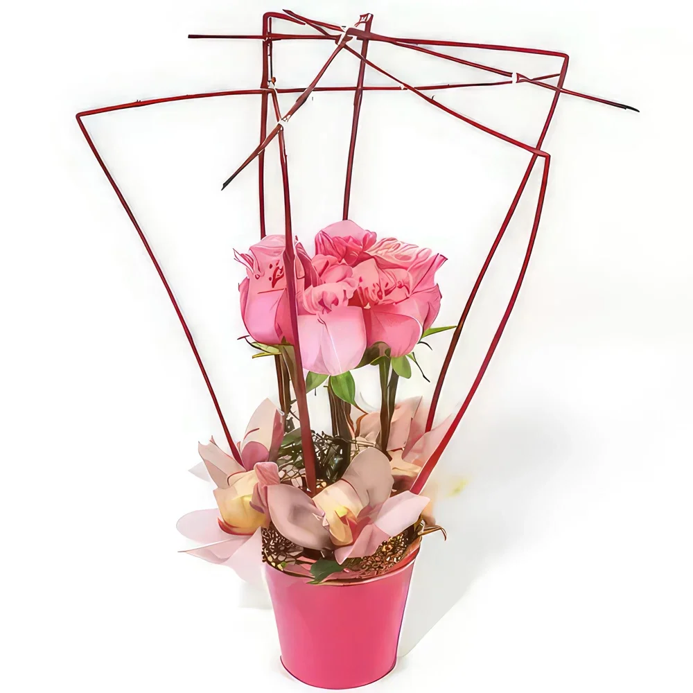 Pau kwiaty- Kompozycja róż Lady Rose Bukiet ikiebana