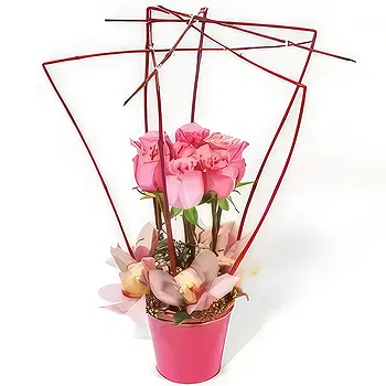 France flowers  -  Composition of roses Lady Rose Flower Delivery