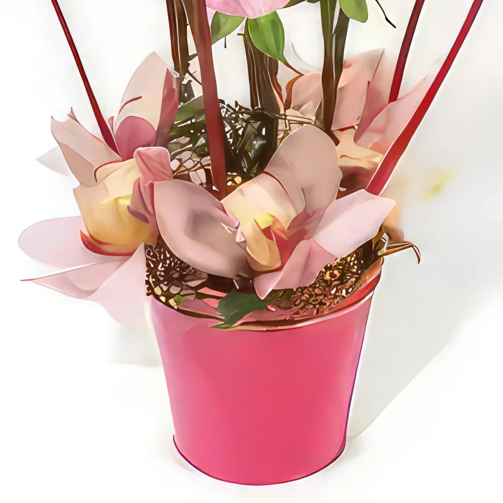 بائع زهور مونبلييه- تكوين ليدي روز باقة الزهور