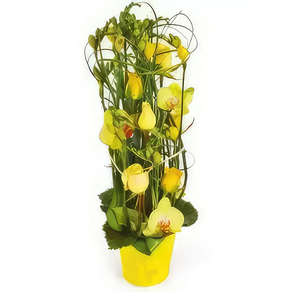 ליל פרחים- הרכב פרחים צהובים בורה-בורה זר פרחים/סידור פרחים