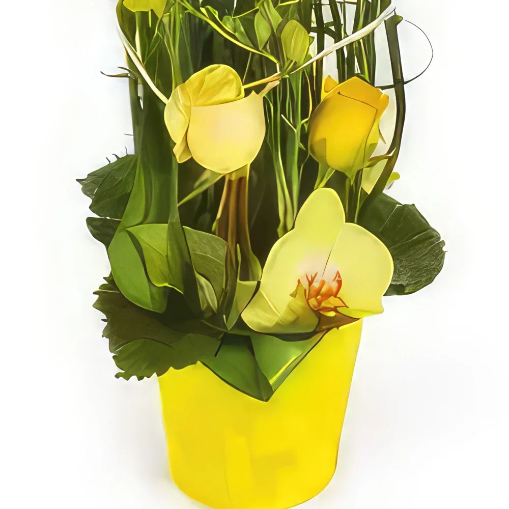 Kiva kukat- Keltaisten kukkien koostumus Bora-Bora Kukka kukkakimppu