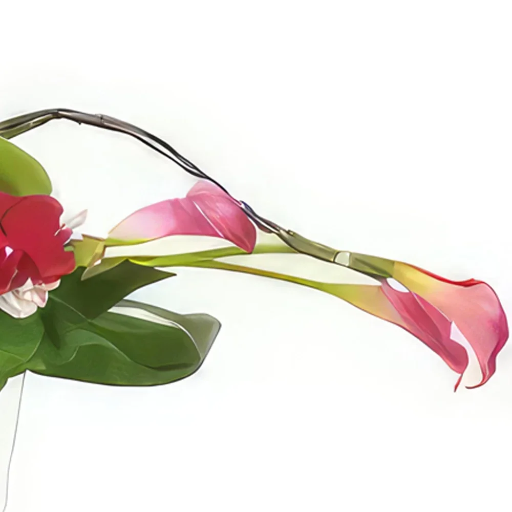ליל פרחים- קומפוזיציה טוהר החושים זר פרחים/סידור פרחים