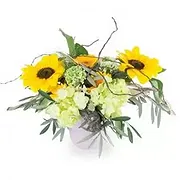 France online Florist - Composition Sunflower Madness Bouquet
