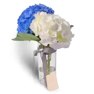 Dubai flowers  -  Cool Blue Flower Bouquet/Arrangement