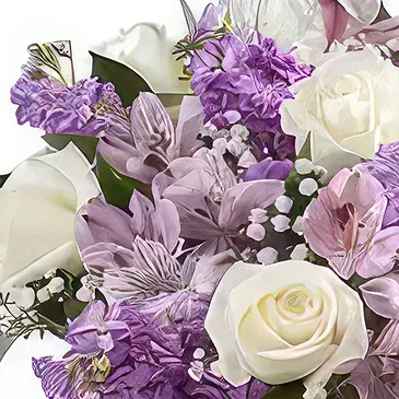 Garhoud flowers  -  Countless Attractions Flower Bouquet/Arrangement