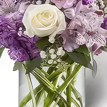 Garhoud flowers  -  Countless Attractions Flower Bouquet/Arrangement