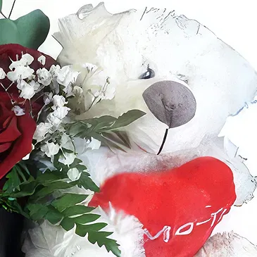 Safara flowers  -  Cherishing Teddy and Roses Flower Bouquet/Arrangement