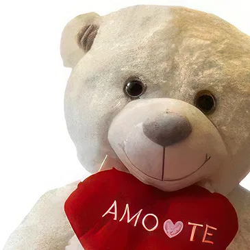 Braga flowers  -  Teddy Love Deluxe Package Flower Bouquet/Arrangement