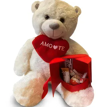 Braga flowers  -  Teddy Love Deluxe Package Flower Bouquet/Arrangement