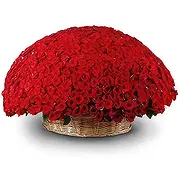 Garhoud online Florist - Cuddly Love Bouquet