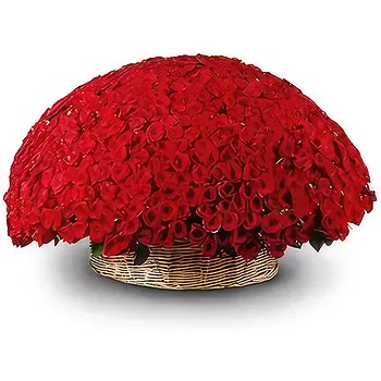 United Arab Emirates flowers  -  Cuddly Love Flower Delivery