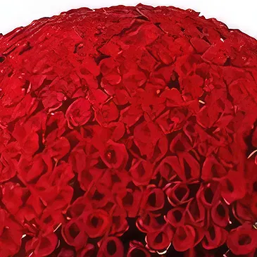 Ghadeer al tair flowers  -  Cuddly Love Flower Bouquet/Arrangement