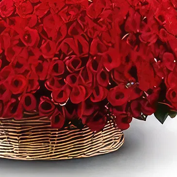 Ghadeer al tair flowers  -  Cuddly Love Flower Bouquet/Arrangement