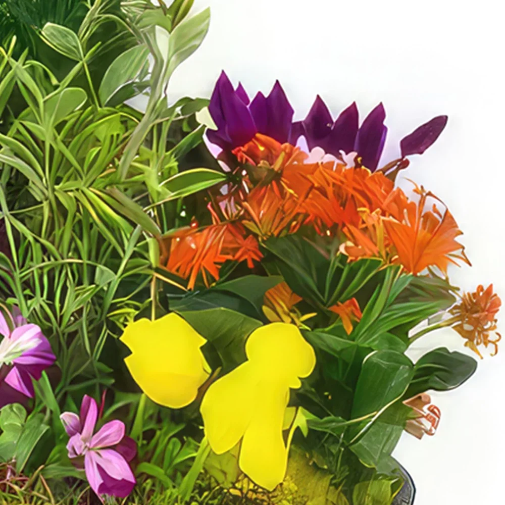 بائع زهور نانت- كوب من نباتات الفرحة الملونة باقة الزهور